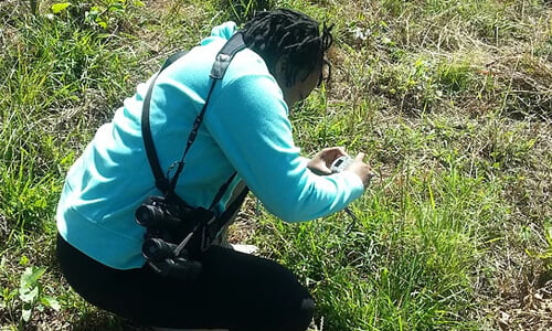 October Octopus Creative