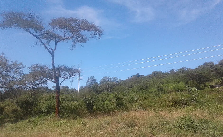 October Octopus Creative