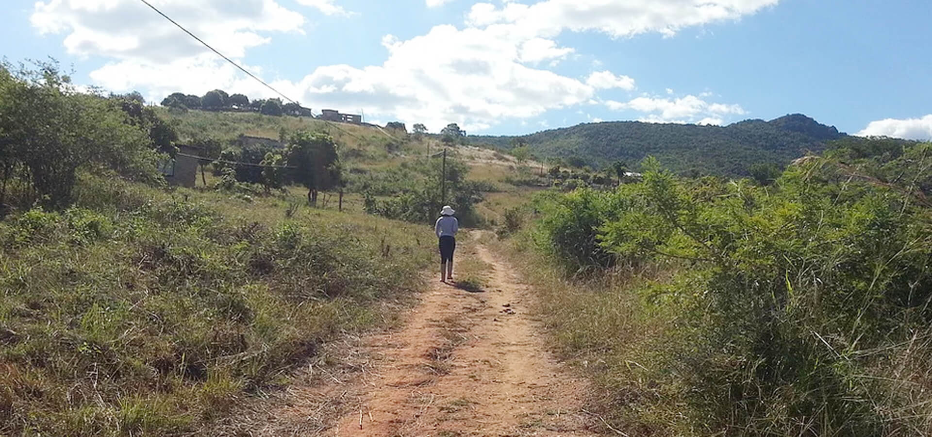 October Octopus Creative