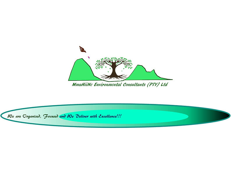 October Octopus Creative